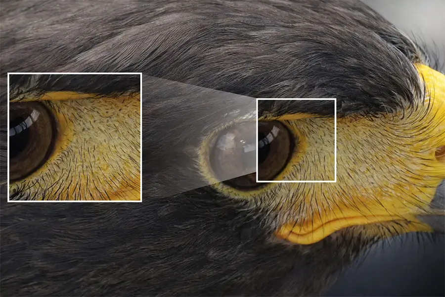 Better Visual Uniformity